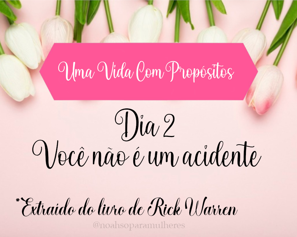 Imagem destaque post Dia 2 - Você não é um acidente