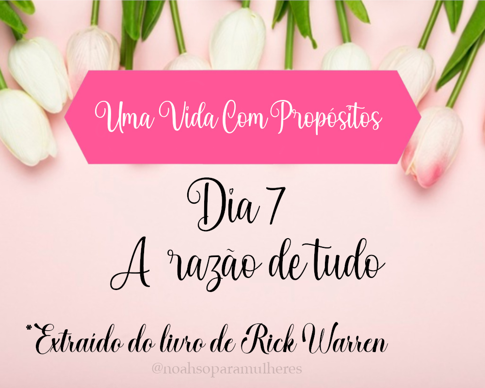 Imagem destaque post Dia 7 - A Razão de Tudo
