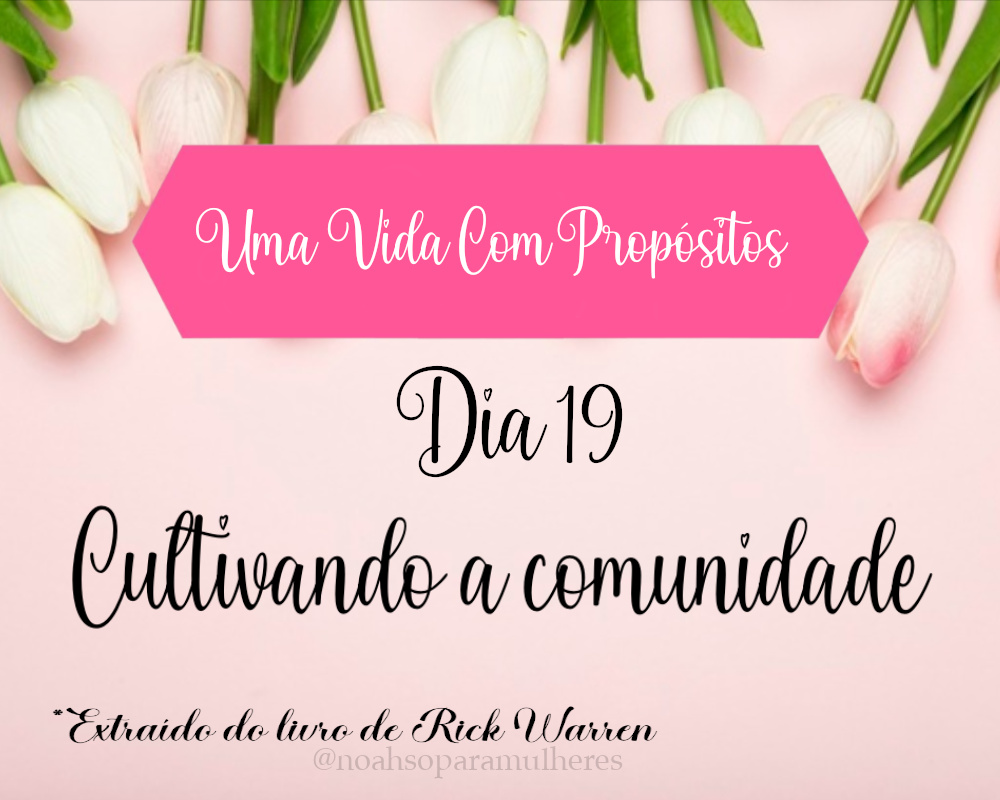 Imagem destaque post Dia 19 - Cultivando a comunidade