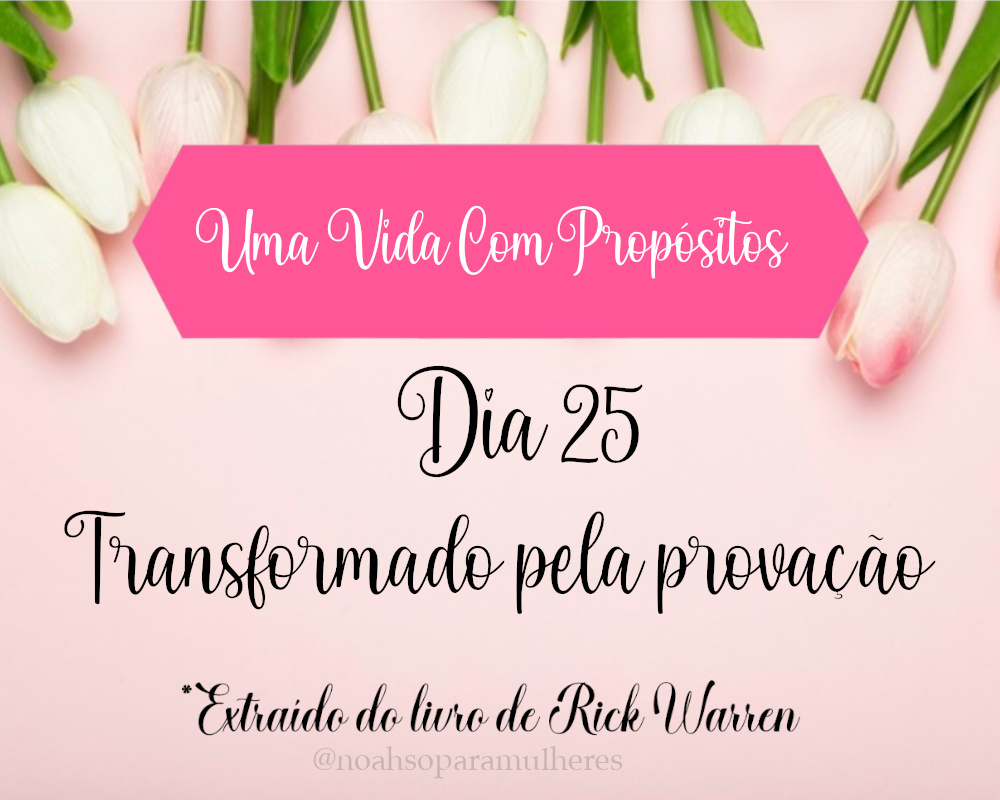 Imagem destaque post Dia 25 - Transformado pela Provação